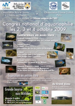 Affiche AFC - Villebon 2009